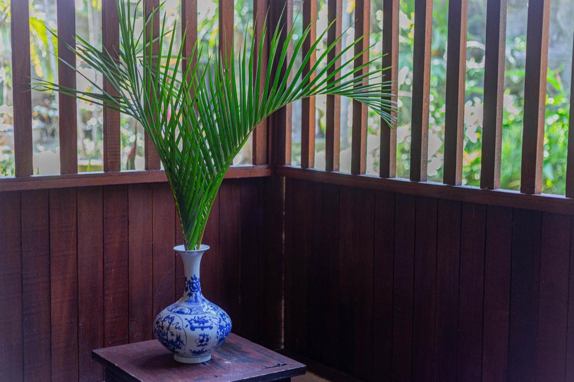 Puri Mango Guest House Sanur Экстерьер фото